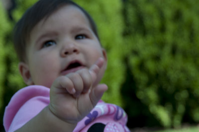 Alexa-Nikon-91.jpg