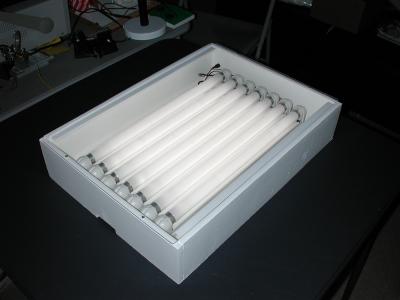 DSCN0925.JPG