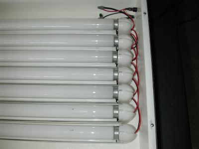 DSCN0907.JPG