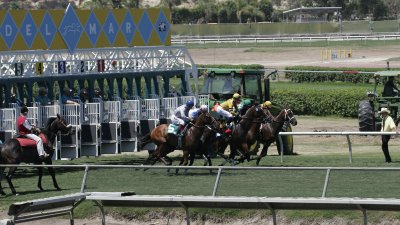 Racing with real horsepower @ Del Mar, CA