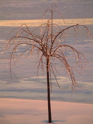 g4/96/483096/3/61062649.IceStormJan.03MohawkRiver.jpg