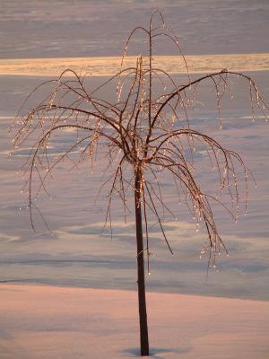 Ice Storm Jan. '03 Mohawk River.jpg