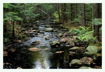 g4/96/483096/3/61062670.TroutBrookMass.10.04.jpg