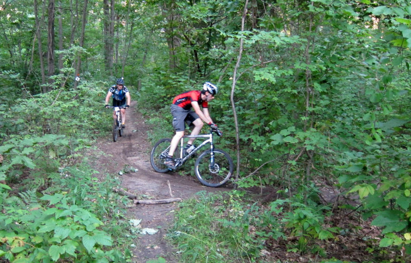 IMG_0086ps 800h.jpg