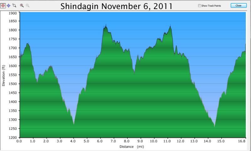 profile 11-6-11.jpg