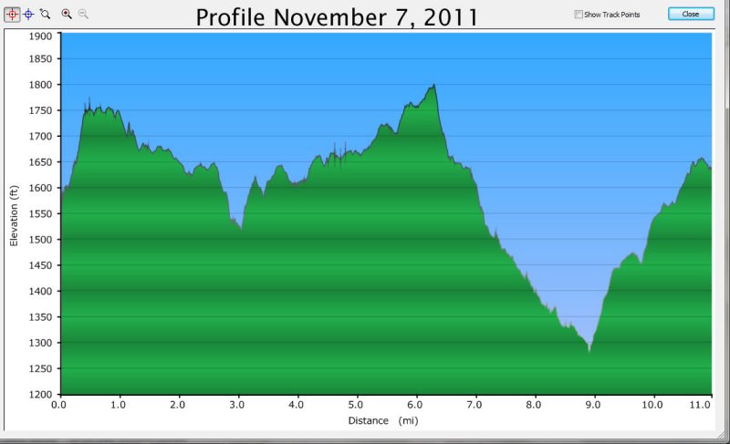 profile 11-7-11.jpg