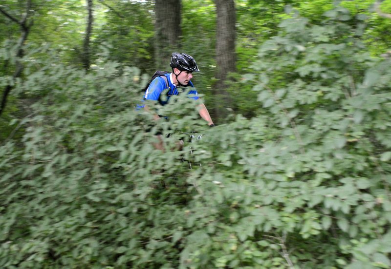 DSC_15033ps 800h.jpg