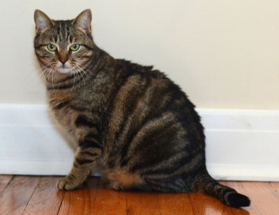 Sophie - glamor shot