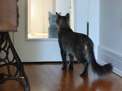 Mr. B - who is that in the mirror?