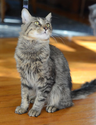 Mr. B - glamour shot