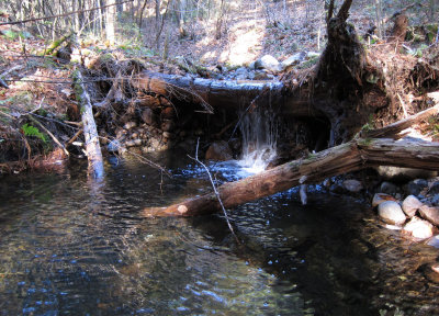 IMG_0765ps 850h.jpg