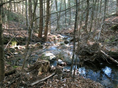 IMG_0770ps 800h.jpg