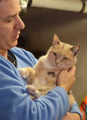 Pumpkin loves being held (still kneading)
