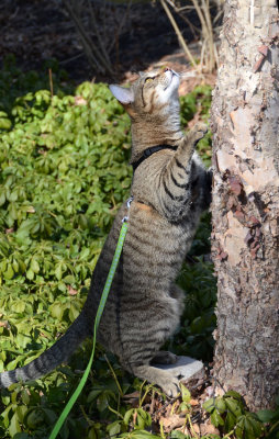 DSC_9878ps 850h.jpg