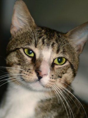 Cooper's gorgeous green eyes