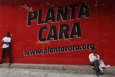 planta cara