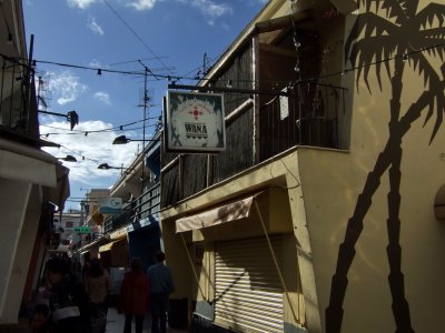 Palmeral en el zoco