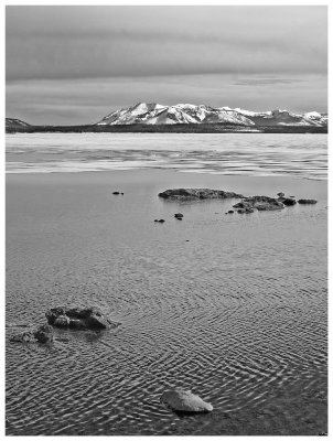 Lake Yellowstone