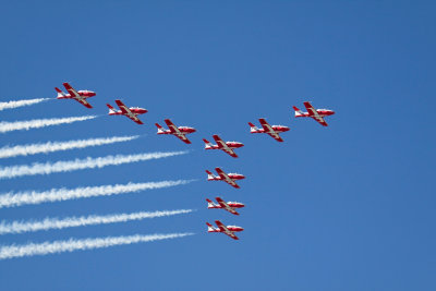 Canadian Snowbirds