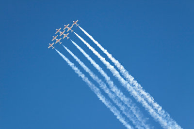 Canadian Snowbirds