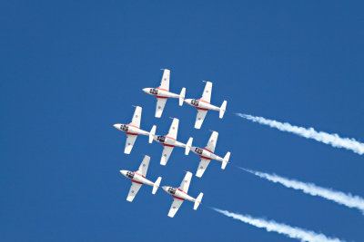 Canadian Snowbirds