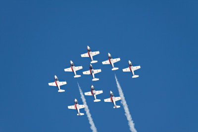 Canadian Snowbirds