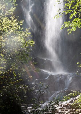 Gorman Falls