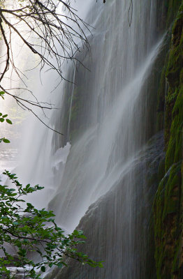 Gorman Falls