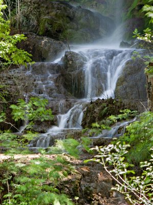 Gorman Falls