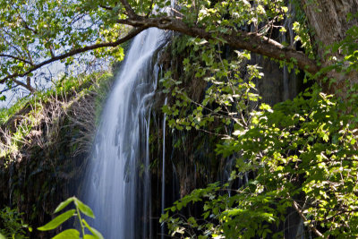 Gorman Falls