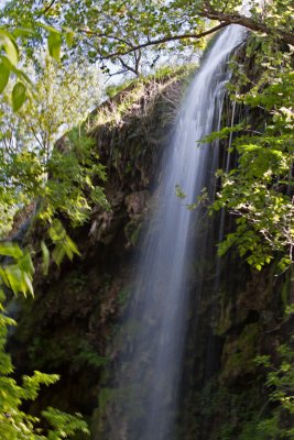 Gorman Falls