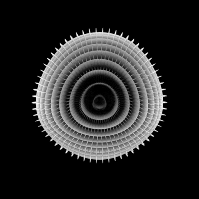 Animated-GIF