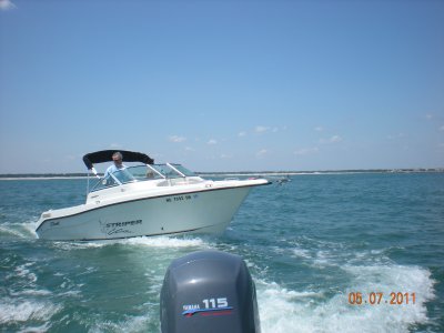 g4/96/533696/3/134567561.731bNPt5.jpg