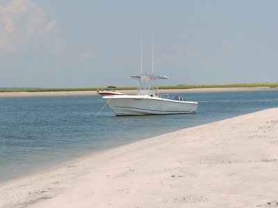 g4/96/533696/3/145666870.D02qwJci.jpg