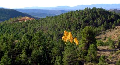 Rubielos de Mora 1