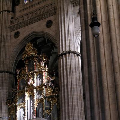 Organo de la Catedral Nueva