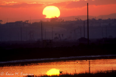 Bolsa Chica Wetlands at Sunrise