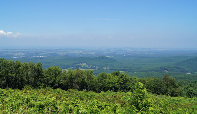 DSC00929.jpg