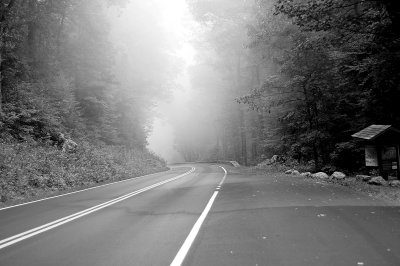 Foggy 3 Sept 19 2011