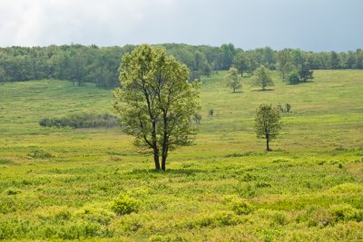 4 Skyline May 2012.JPG