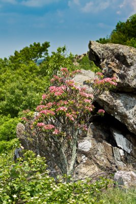 Skyline Drive National Park