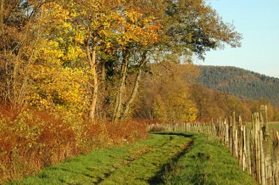 Chemin