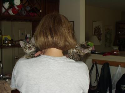 hitching a ride