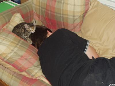 Kittens
