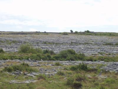 Rocks, rocks, and more rocks.  The limestone deposits of the Burren are up to 2500 ft deep