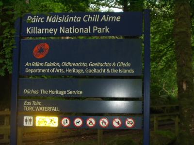 Signs are mostly bilingual.  The government subsidizes the preservation of Gaelic culture and language.