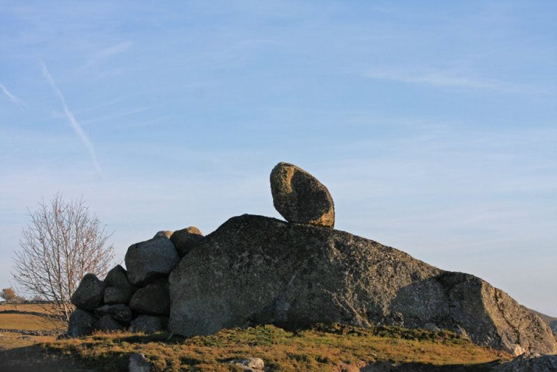 AUBRAC