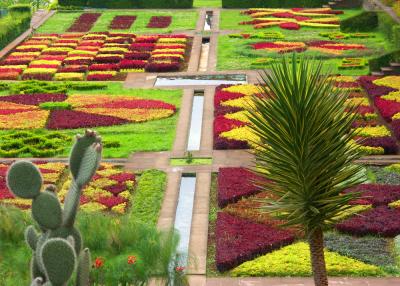 g4/96/614796/3/60093814.JARDINBOTANIQUE.jpg