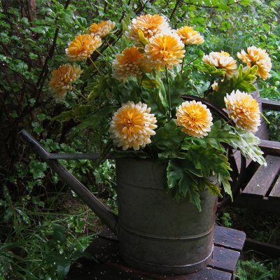 Gula blommor