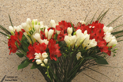 Bouquet Freesias & Alstroemria